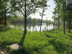 -泗洪洪泽湖湿地景区
