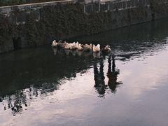 -和顺古镇