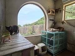 -小时光咖啡馆(开森度假森林店)
