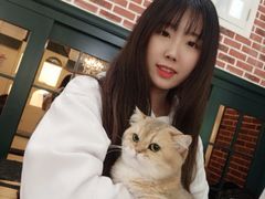 -猫小院猫主题咖啡厅(北锣店)