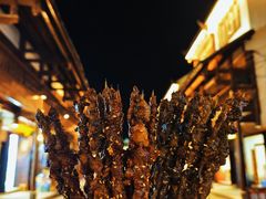 -松州古城