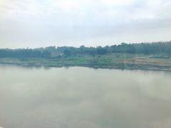 -稻香村鱼庄
