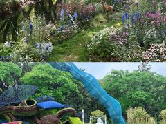 -上海共青森林公园