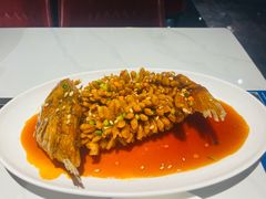 -老大连·海肠捞饭·大连海鲜大连菜(西安路店)