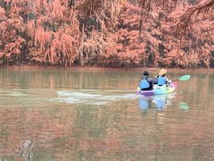 -上海海湾国家森林公园
