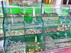 -四海鲜渔家菜(黄金海岸店)