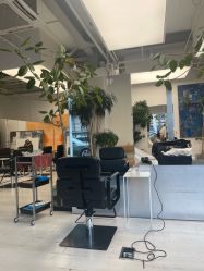 -Hair  Gallery