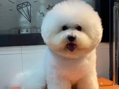 -PETKIT小佩宠物(古北店)