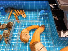 -田园肥牛鲍鱼先生(新北店)