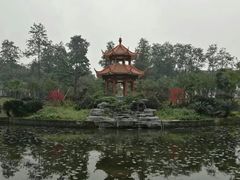 -四川大学(望江校区)