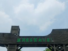 -溱湖国家湿地公园