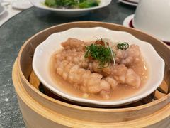 虾酱蒸鱿鱼-金悦轩海鲜酒家(拱北店)