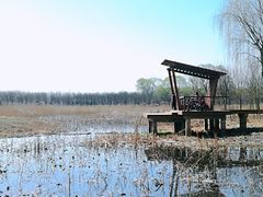 -东郊湿地公园