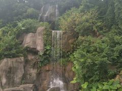 -阿群甘草水果