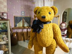 -济州岛泰迪熊博物馆