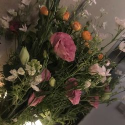 -曼都发型·臻选