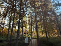 -黄海国家森林公园