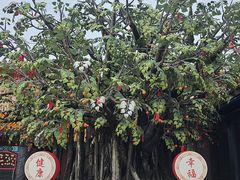-天坛大佛