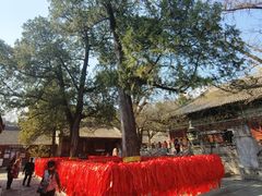 -红螺寺