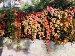 -河北省血液中心-无偿献血科普馆