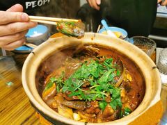 啫啫甲鱼煲-金龙·打边炉(武进路店)