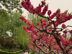 -元大都城垣遗址公园