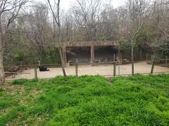 -合肥野生动物园