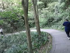 -窦圌山风景区