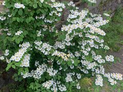 -溪口-滕头旅游景区