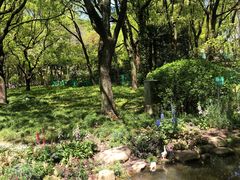 -上海共青森林公园