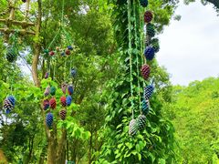 -神光山国家森林公园