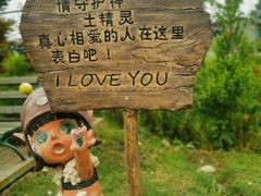 -都江堰玫瑰花溪谷