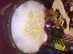 白金汉爵大酒店-无锡白金汉爵大酒店