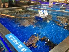 -盒马鲜生(悦峰店)