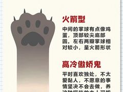 -翊宠yipet猫狗购宠庄园犬舍•猫舍