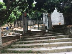 -满記土窑烧鷄波浪山莊