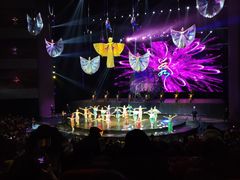 -水秀国际大剧院