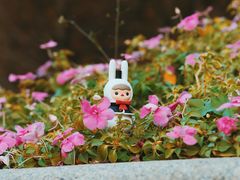 -云溪植物园