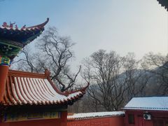 -皇藏峪国家森林公园