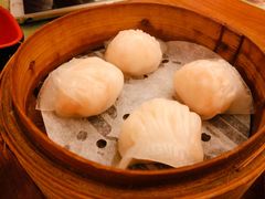 虾饺-添好运点心专门店(深水埗店)