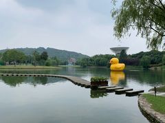 -上海佘山世茂艾美酒店