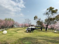 -福建鲤鱼洲酒店