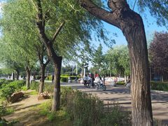 -丁香湖公园