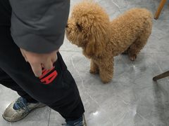 -安安宠医·臻爱宠物医院·宠保定点(营门口路分院)