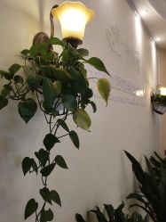 -碧莲盛·不剃发植发