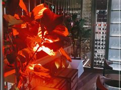 -恰餐厅CHAR Grill(北京三里屯洲际店)