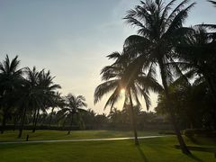 -海南清水湾莱佛士酒店