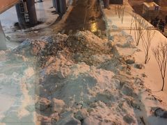 -谢列梅捷沃国际机场