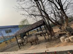 -西安秦岭野生动物园