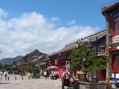 -王家大院